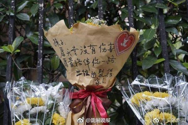 芒特：无惧10号位的激烈竞争 阿莫林非常注重细节&我们已准备好